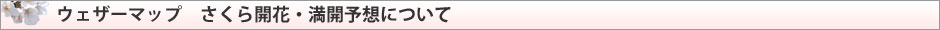 さくら開花・満開予想について