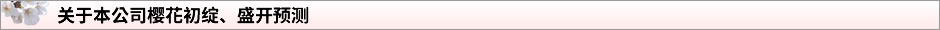 关于本公司樱花初绽、盛开预测