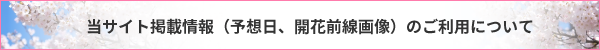 当サイト掲載情報（予想日、開花前線画像）のご利用について