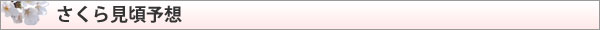 さくら見頃予想