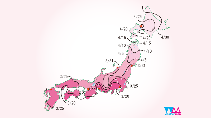 さくら開花前線